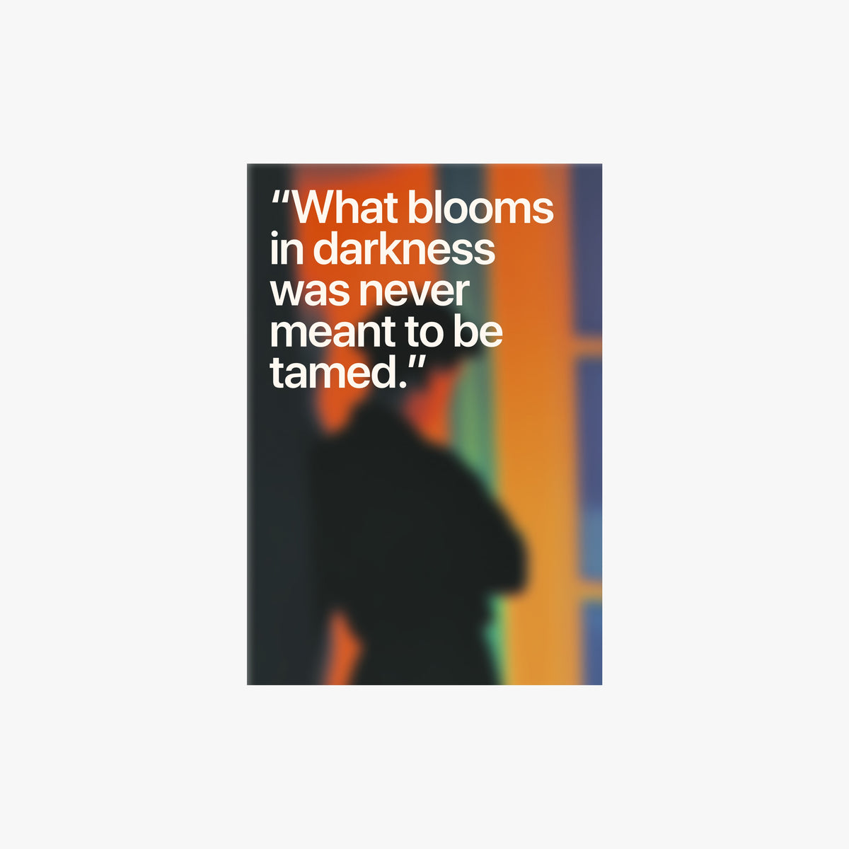 Thorns & Stolen Starlight